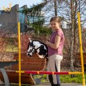 Przeszkoda do skakania Skippi 135 cm - prezent dla miłośników Hobby Horse
