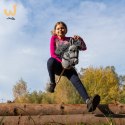 Szary konik hobby horse duży A3 kantar myszaty HH