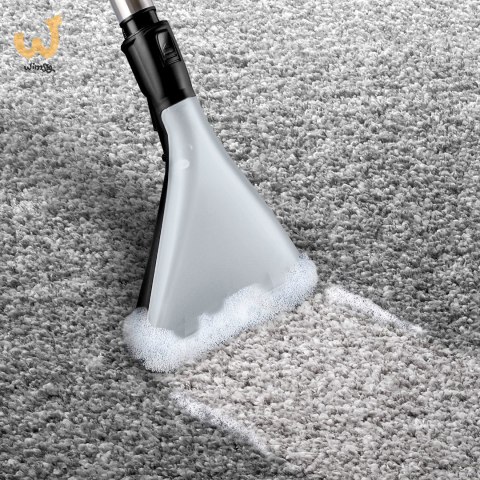 Odkurzacz BOSCH BWD 421 PET AquaWash&Clean Odkurzacz BOSCH BWD 421 PET AquaWash&Clean