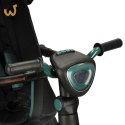 Rowerek trójkołowy TRIKE FIX Elite obrotowy zielony