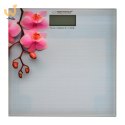 Waga łazienkowa Esperanza Orchid EBS010 (kolor szary)