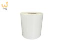BSTech Etykiety termiczne 32x25*1000 5 szt ZEBRA