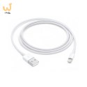 Apple Lightning to USB Cable (1m)