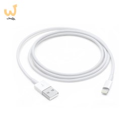 Apple Lightning to USB Cable (1m)