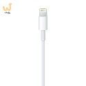 Apple Lightning to USB Cable (1m)