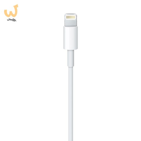 Apple Lightning to USB Cable (1m) Apple Lightning to USB Cable (1m)
