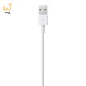 Apple Lightning to USB Cable (1m)
