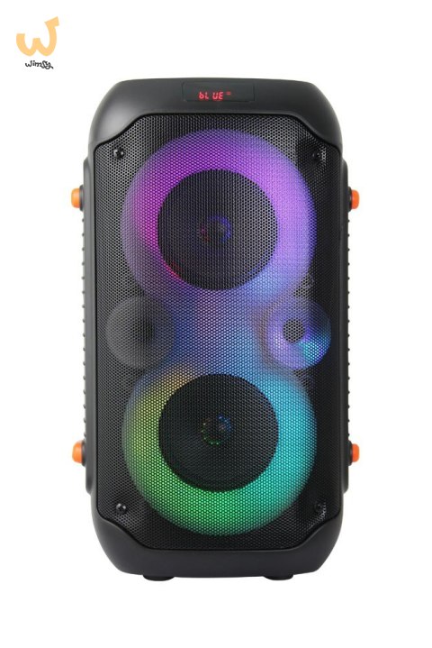 ESPERANZA GŁOŚNIK BT FM LED RGB KARAOKE SINGER EP156 ESPERANZA GŁOŚNIK BT FM LED RGB KARAOKE SINGER EP156