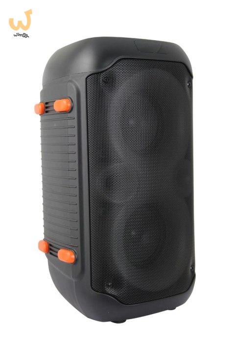 ESPERANZA GŁOŚNIK BT FM LED RGB KARAOKE SINGER EP156 ESPERANZA GŁOŚNIK BT FM LED RGB KARAOKE SINGER EP156