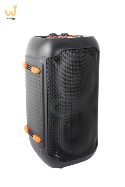 ESPERANZA GŁOŚNIK BT FM LED RGB KARAOKE SINGER EP156 ESPERANZA GŁOŚNIK BT FM LED RGB KARAOKE SINGER EP156