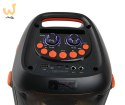 ESPERANZA GŁOŚNIK BT FM LED RGB KARAOKE SINGER EP156