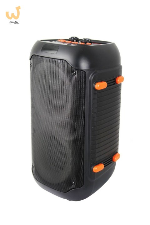 ESPERANZA GŁOŚNIK BT FM LED RGB KARAOKE SINGER EP156 ESPERANZA GŁOŚNIK BT FM LED RGB KARAOKE SINGER EP156