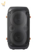 ESPERANZA GŁOŚNIK BT FM LED RGB KARAOKE SINGER EP156