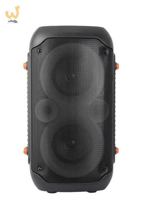 ESPERANZA GŁOŚNIK BT FM LED RGB KARAOKE SINGER EP156 ESPERANZA GŁOŚNIK BT FM LED RGB KARAOKE SINGER EP156