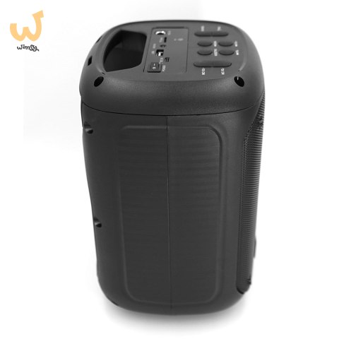 SQUEAK GŁOŚNIK KARAOKE BEATFLOW BLUETOOTH 5.0 + EDR, RADIO FM, MICROSD, AUX, USB SQ1005 SQUEAK GŁOŚNIK KARAOKE BEATFLOW BLUETOOTH 5.0 + EDR, RADIO FM, MICROSD, AUX, USB SQ1005