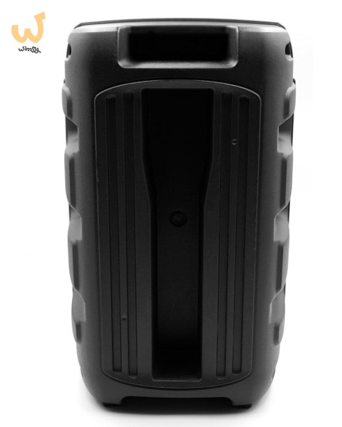 SQUEAK GŁOŚNIK KARAOKE PULSETOWER BLUETOOTH 5.3, RADIO FM, MICROSD, AUX, USB SQ1006