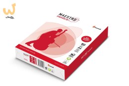 Papier Xero Igepa Maestro Stadard Plus kl. B 94918A80 (A4; 80g/m2; 500 szt. arkuszy.; papier biały, Matowy, dwustronnie gładzony