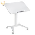 MACLEAN MOBILNE BIURKO STOLIK NA LAPTOP BIAŁE MC-453W