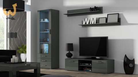 Witryna SOHO S1 szary/ szary połysk Witryna SOHO S1 szary/ szary połysk