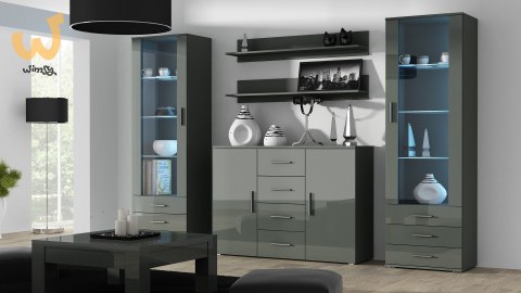 Witryna SOHO S1 szary/ szary połysk Witryna SOHO S1 szary/ szary połysk