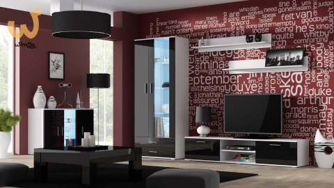 Witryna SOHO S6 2D2S biały/ czarny połysk Witryna SOHO S6 2D2S biały/ czarny połysk