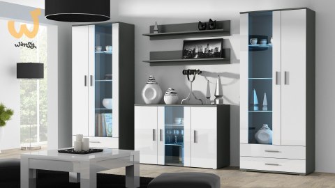 Witryna SOHO S6 2D2S szary/ biały połysk Witryna SOHO S6 2D2S szary/ biały połysk
