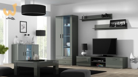 Witryna SOHO S6 2D2S szary/ szary połysk Witryna SOHO S6 2D2S szary/ szary połysk