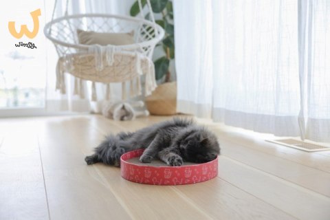 KERBL Drapak dla kota Circle, tekturowy, 5,5 cm, średnica 34 cm, różowy KERBL Drapak dla kota Circle, tekturowy, 5,5 cm, średnica 34 cm, różowy