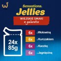 PURINA Felix Sensation: wiejskie smaki - karma dla kota - 24 x 85g