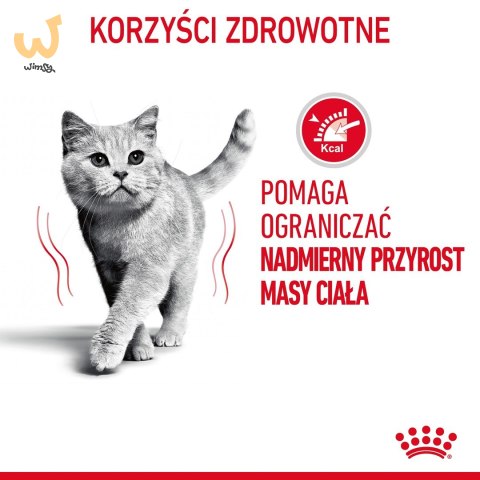 ROYAL CANIN FCN Light Weight Care w galaretce - mokra karma dla kota dorosłego - 12x85g ROYAL CANIN FCN Light Weight Care w galaretce - mokra karma dla kota dorosłego - 12x85g