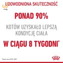 ROYAL CANIN FCN Light Weight Care w galaretce - mokra karma dla kota dorosłego - 12x85g