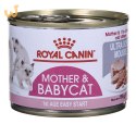 ROYAL CANIN FHN Babycat Instinctive Feline mus - mokra karma dla kociąt - puszka - 195 g