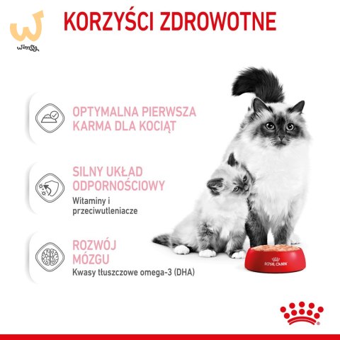 ROYAL CANIN FHN Babycat Instinctive Feline mus - mokra karma dla kociąt - puszka - 195 g ROYAL CANIN FHN Babycat Instinctive Feline mus - mokra karma dla kociąt - puszka - 195 g