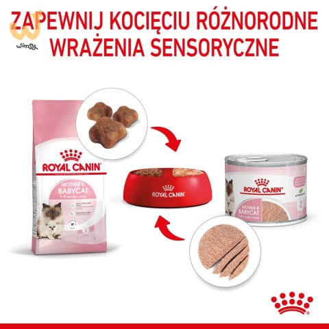 ROYAL CANIN FHN Babycat Instinctive Feline mus - mokra karma dla kociąt - puszka - 195 g ROYAL CANIN FHN Babycat Instinctive Feline mus - mokra karma dla kociąt - puszka - 195 g