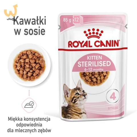 ROYAL CANIN FHN Kitten Sterilised w sosie - mokra karma dla kociąt - 12x85 g ROYAL CANIN FHN Kitten Sterilised w sosie - mokra karma dla kociąt - 12x85 g