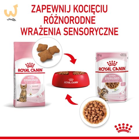 ROYAL CANIN FHN Kitten Sterilised w sosie - mokra karma dla kociąt - 12x85 g ROYAL CANIN FHN Kitten Sterilised w sosie - mokra karma dla kociąt - 12x85 g