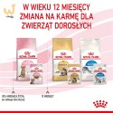 ROYAL CANIN FHN Kitten Sterilised w sosie - mokra karma dla kociąt - 12x85 g