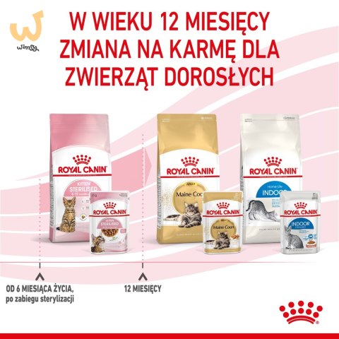 ROYAL CANIN FHN Kitten Sterilised w sosie - mokra karma dla kociąt - 12x85 g ROYAL CANIN FHN Kitten Sterilised w sosie - mokra karma dla kociąt - 12x85 g