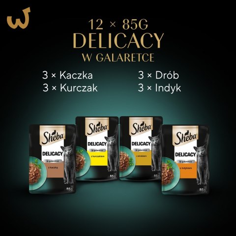 SHEBA Delicacy in Jelly Smaki Drobiowe - mokra karma dla kota - saszetka - 12x85 g SHEBA Delicacy in Jelly Smaki Drobiowe - mokra karma dla kota - saszetka - 12x85 g