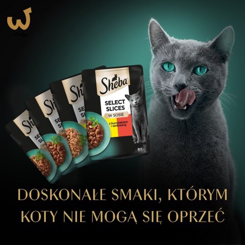 SHEBA Selection in Sauce Soczyste Smaki SHEBA Selection in Sauce Soczyste Smaki