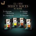 SHEBA Selection in Sauce Soczyste Smaki