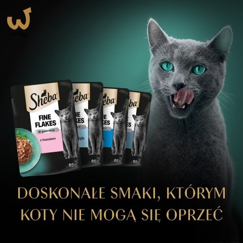 Sheba Delicacy Rybne Smaki w galaretce 80x85g Sheba Delicacy Rybne Smaki w galaretce 80x85g
