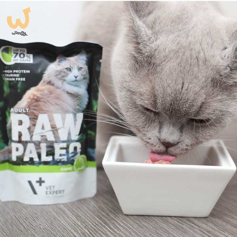VetExpert Raw Paleo adult cat - Dzik saszetka 100g VetExpert Raw Paleo adult cat - Dzik saszetka 100g