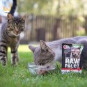 VetExpert Raw Paleo sterilised Wołowina saszetka 100g