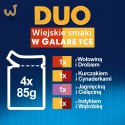 FELIX Fantastic Duo Mięso - mokra karma dla kota - 4x85g
