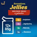FELIX Sensations indyk, makrela, jagnięcina - mokra karma dla kota - 12x 85g