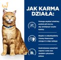 Hill's PD c/d urinary care, chicken, dla kota 3 kg
