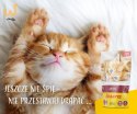 JOSERA Pate Kurczak i marchew - mokra karma dla kociąt - saszetka - 85 g