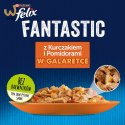 Purina Felix Fantastic Kurczak z Pomidorem - mokra karma dla kota - saszetka 85 g
