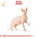 ROYAL CANIN FBN Sphynx Adult - sucha karma dla dorosłego kota - 2kg